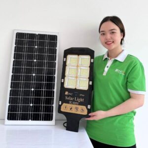 Đèn đường năng lượng mặt trời 600W